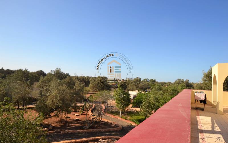 Camping-Caravaning (35)